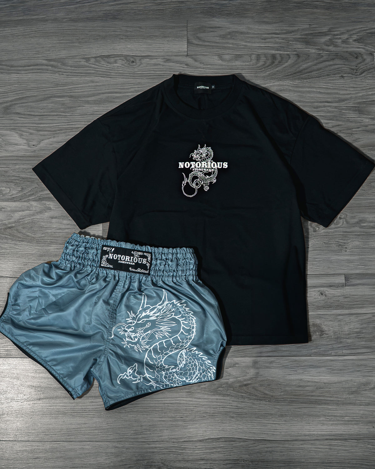Shorts & T-Shirt combo (Grey)